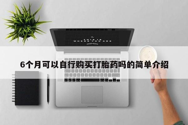 私人药店会开打胎药吗6个月可以自行购买打胎药吗的简单介绍